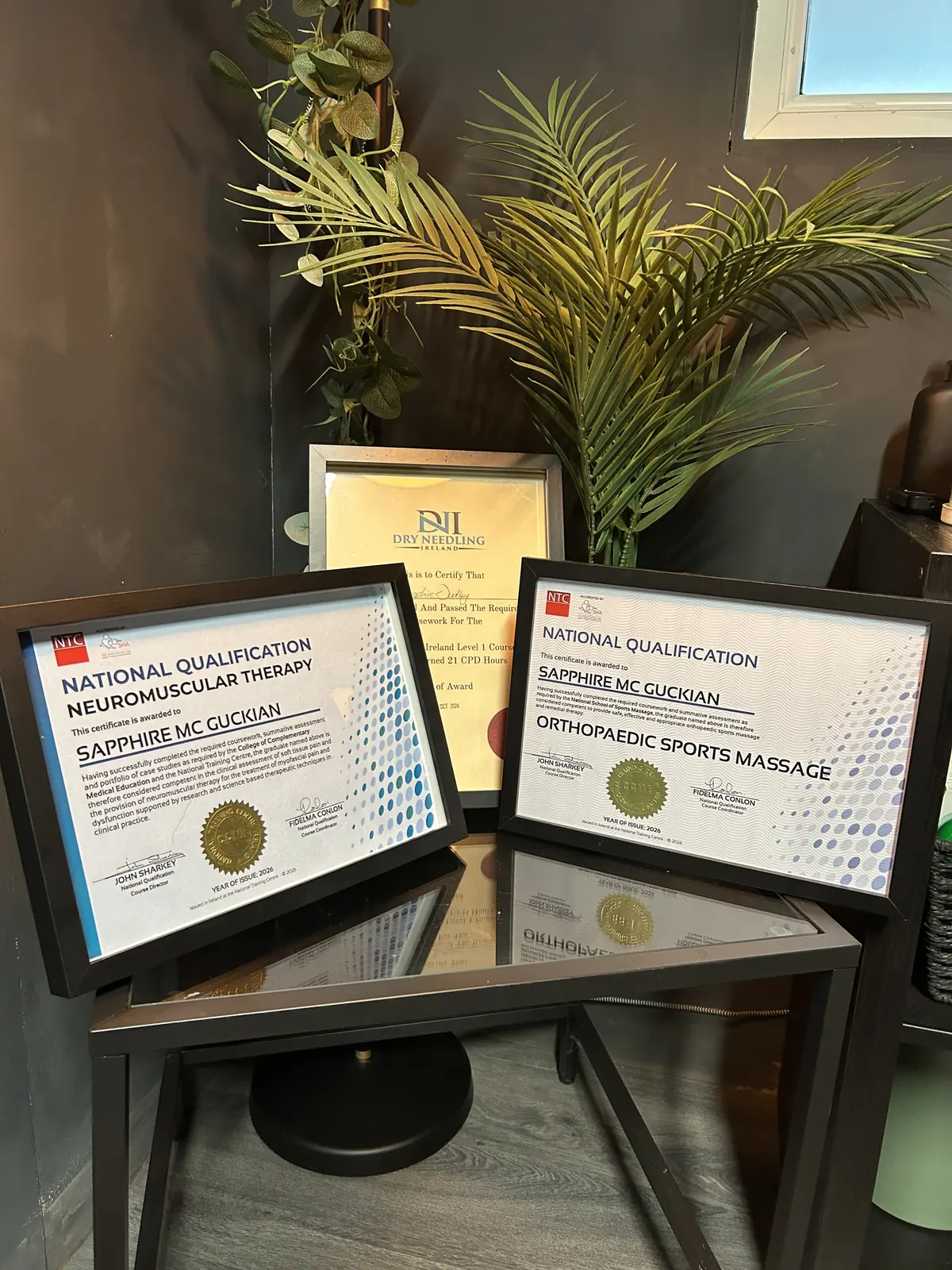 Sapphire's Level 3 and 4 neuromuscular therapy qualifications and certificates